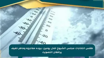 طقس انتخابات مجلس الشيوخ خلال يومين: برودة مفاجئة وماطر خفيف يرافقان التصويت